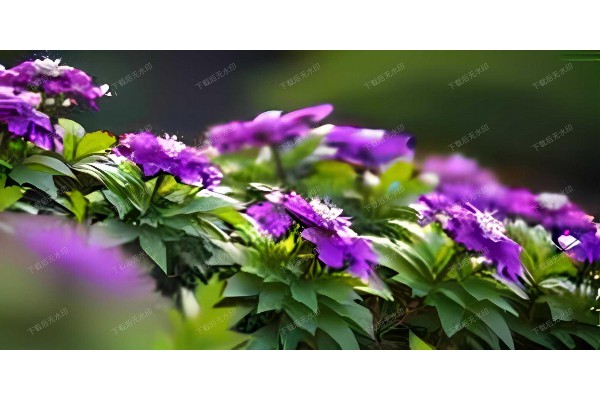 杭州男性养生秘籍：按摩保健轻松享健康”