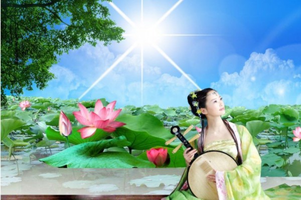 白丹参功效与作用点详述：养生必备的神奇药材