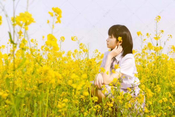 黄花菜干食补佳品，功效禁忌知多少
